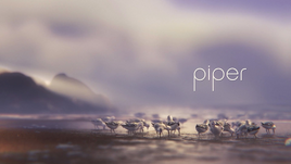 Piper