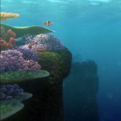 Category Finding Nemo Locations Pixar Wiki Fandom