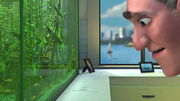 Finding-nemo-disneyscreencaps