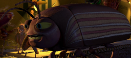 Bug-Bug