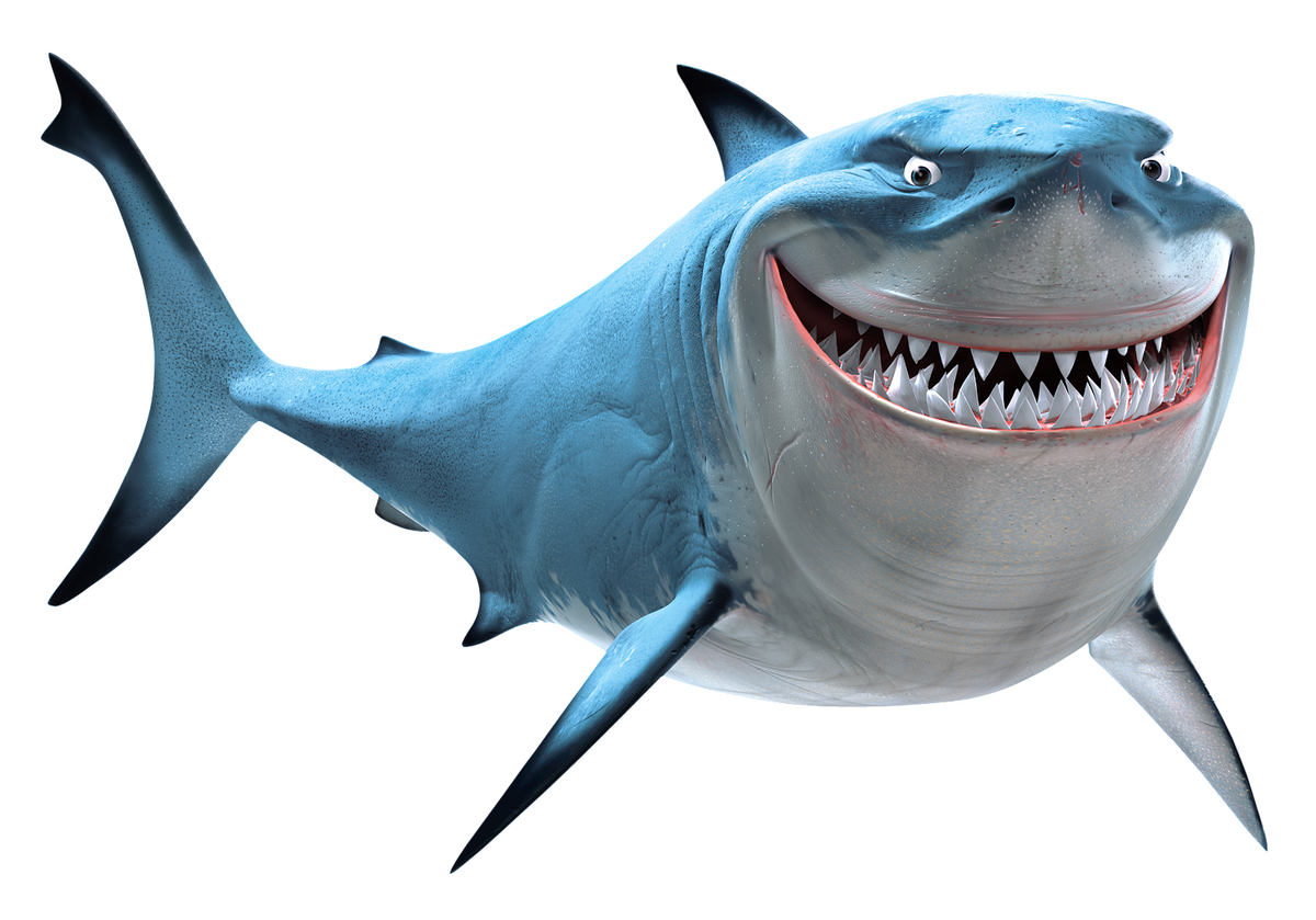 Great White Shark Smiling, The cool thing about great white…