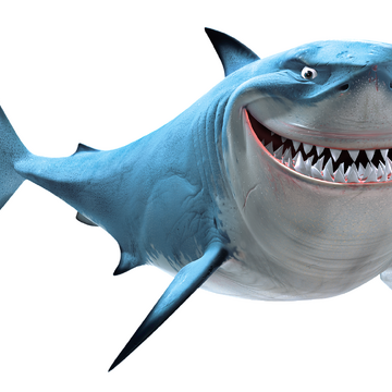 photo Shark From Nemo Smiling bruce pixar wiki fandom