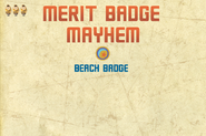 Merit Badge Ball
