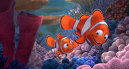 Nemo with Marlin