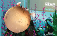 Bloat-FindingNemo3D