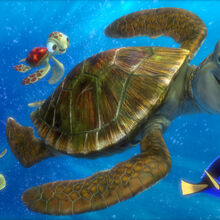 Finding Nemo Pixar Wiki Fandom