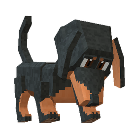 Dachshund 01