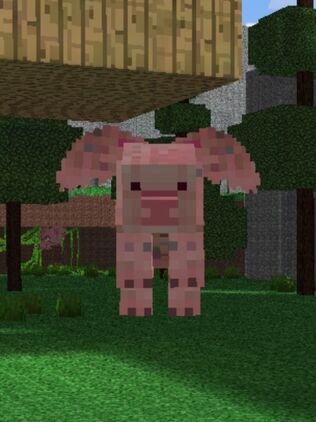 Flying Pig.jpg