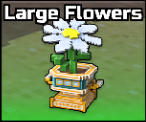 Large Flowers