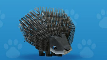 Hedgehog