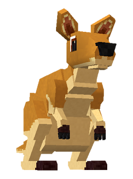 Kangaroo 01