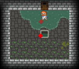 Sewer stage Magic Well Room of Health