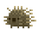 Porcupine.png