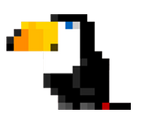 Toucan