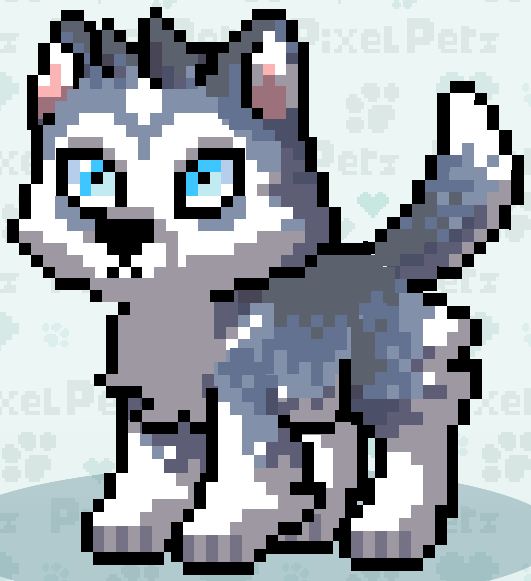 petz 5 cheats