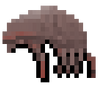 HeadLice.png