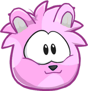 Pink Hamster Puffle