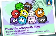 I Have Adopted your mom.