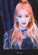 Sua Album Bravery 01.jpg (229 KB) Bravery (1)