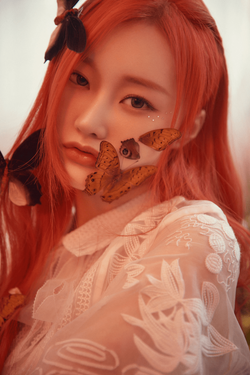 Fairy forest: Bravery/Gallery | PIXY Wiki | Fandom