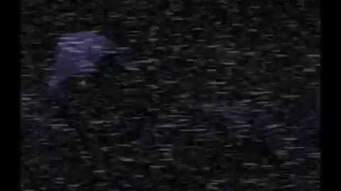 FNaF2_Cutscene_-_Noite_4
