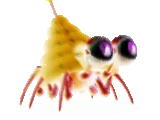 % ^^&(