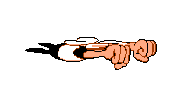 ZOOOM.gif (5 KB) Peppino performing a Super Side Jump. Though not in the final game, the shoulder bash does the same action.