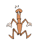 Spr monstershroom fall 0.gif (5 KB) Mushroom Monster's falling animation.