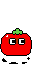 Tomatotoppinrunning