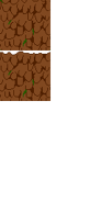 Dirt walls to decorate the brick walls. Also used in the underground areas of the level.
