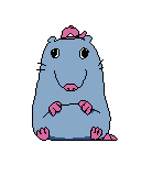 Cap Stupid Rat's idle animation.