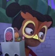 Owl mask