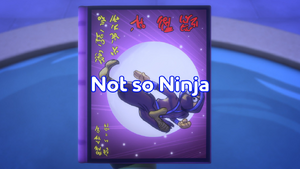 Not So Ninja Title Card