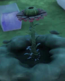 The Pondweed Plant (Small Size)