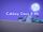 PJ Pets/Gallery/Catboy Does it All