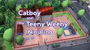 Catboy and the Teeny Weeny Ninjalino Card