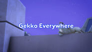 Gekko Everywhere title card