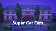 Super Cat Ears