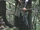 Legolas' longbow