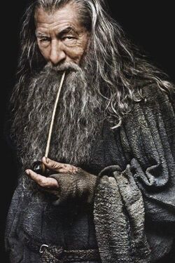 Gandalf | Middle-earth Cinematic Universe wiki Fandom
