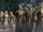 Army of Mirkwood