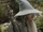 Gandalf's staff