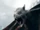 Bat