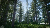 Boreal4.jpg (1.98 MB)