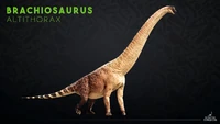 Brachiosaurus New.png (1.75 MB) Website render of Brachiosaurus