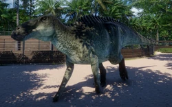 E. annectens walking near some fencing.