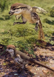 Jumping baby Velociraptor