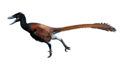 Outdated render of the male "Idyll" skin.