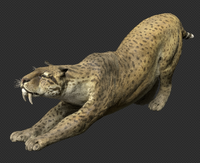 Render of Smilodon populator stretching.
