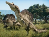 Spinosaurus